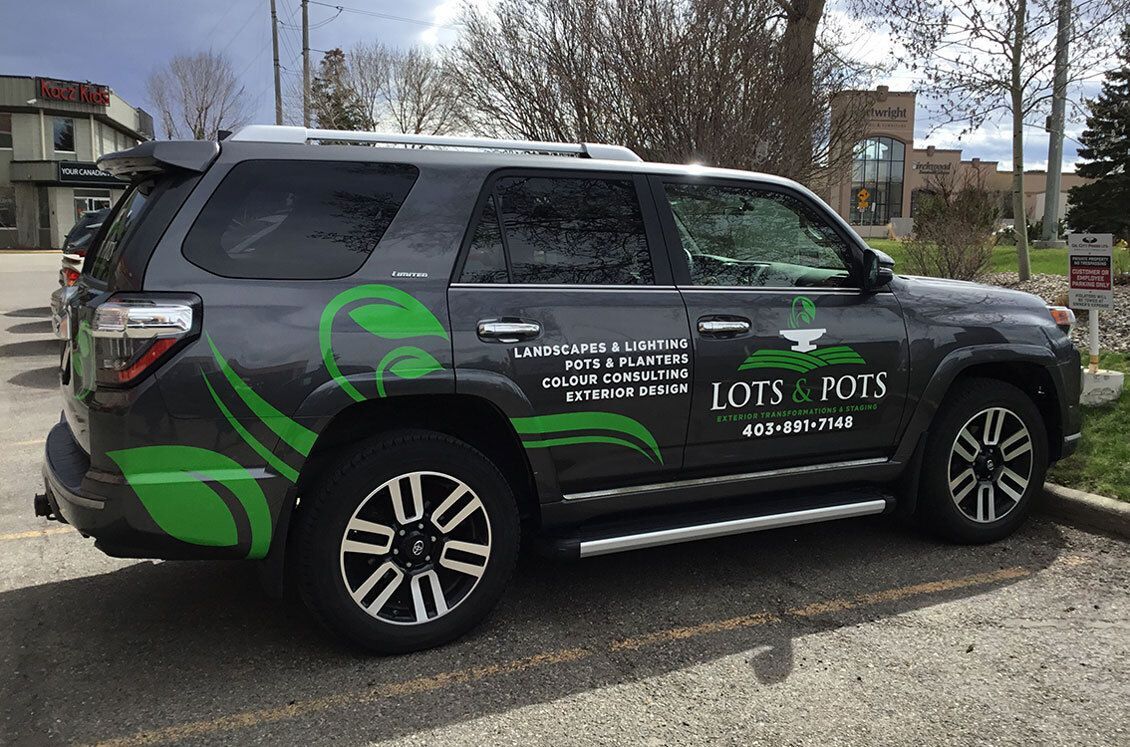 Vehicle Wrap