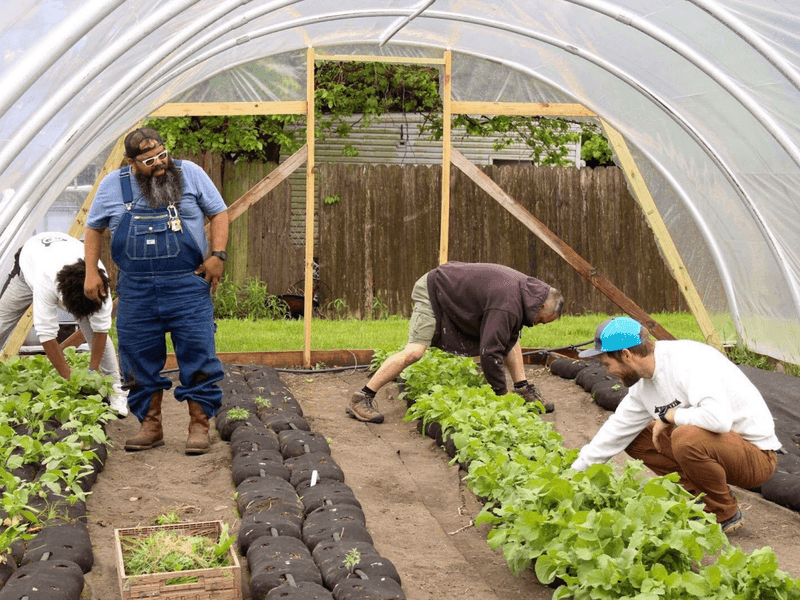 People tending to plants inside covered greenhouse area