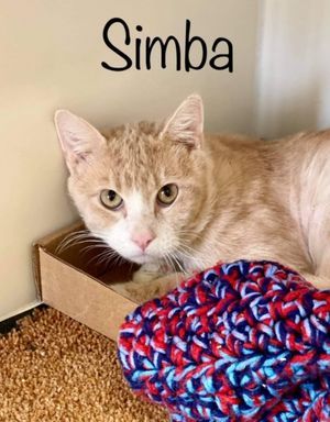 SIMBA