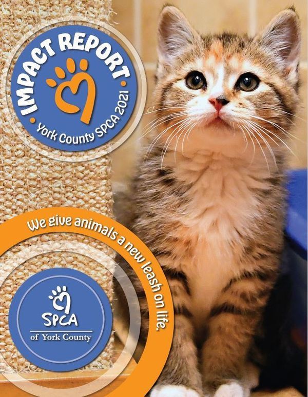 Reports and Shelter Stats York County SPCA