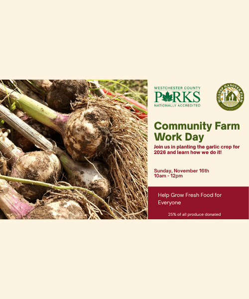 November Community Farm Work Day