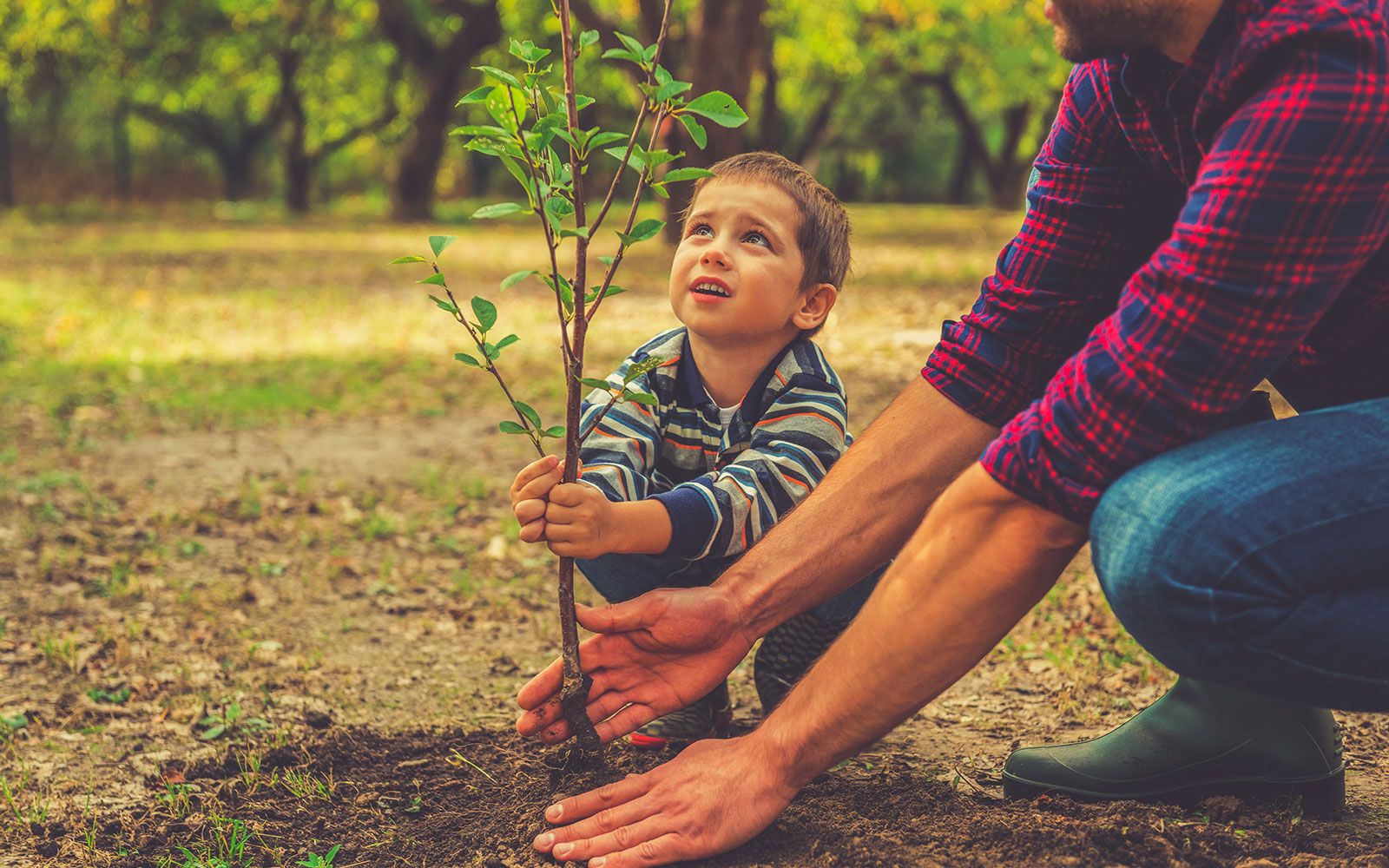 Child Planting Tree