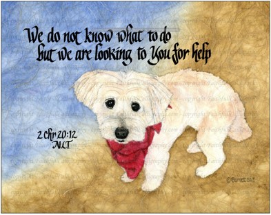 LOOK FOR HELP (2 Chronicles, Encouragement, Faithwalk, Service/Ministry)