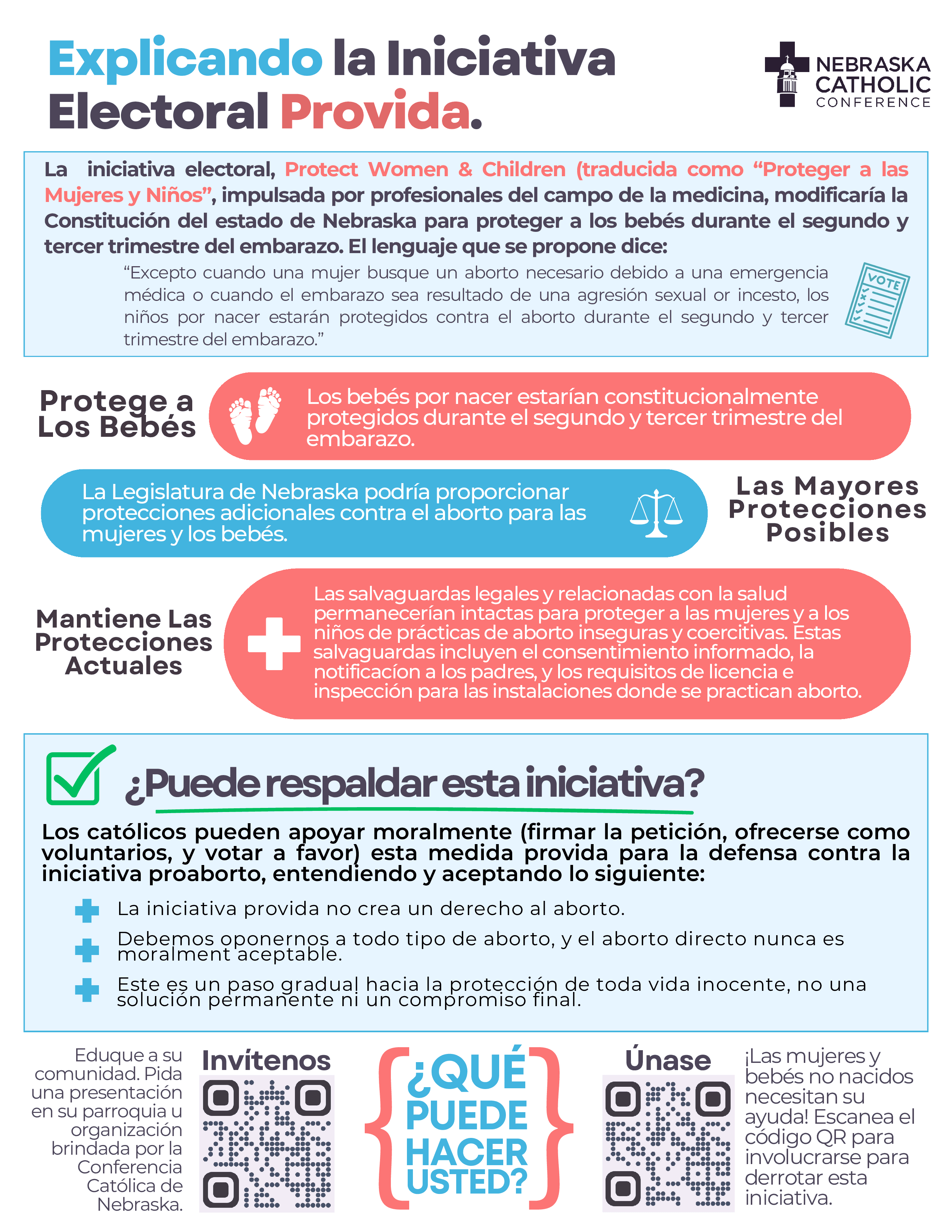Explicando la Iniciativa Electoral Provida (Español/Spanish)