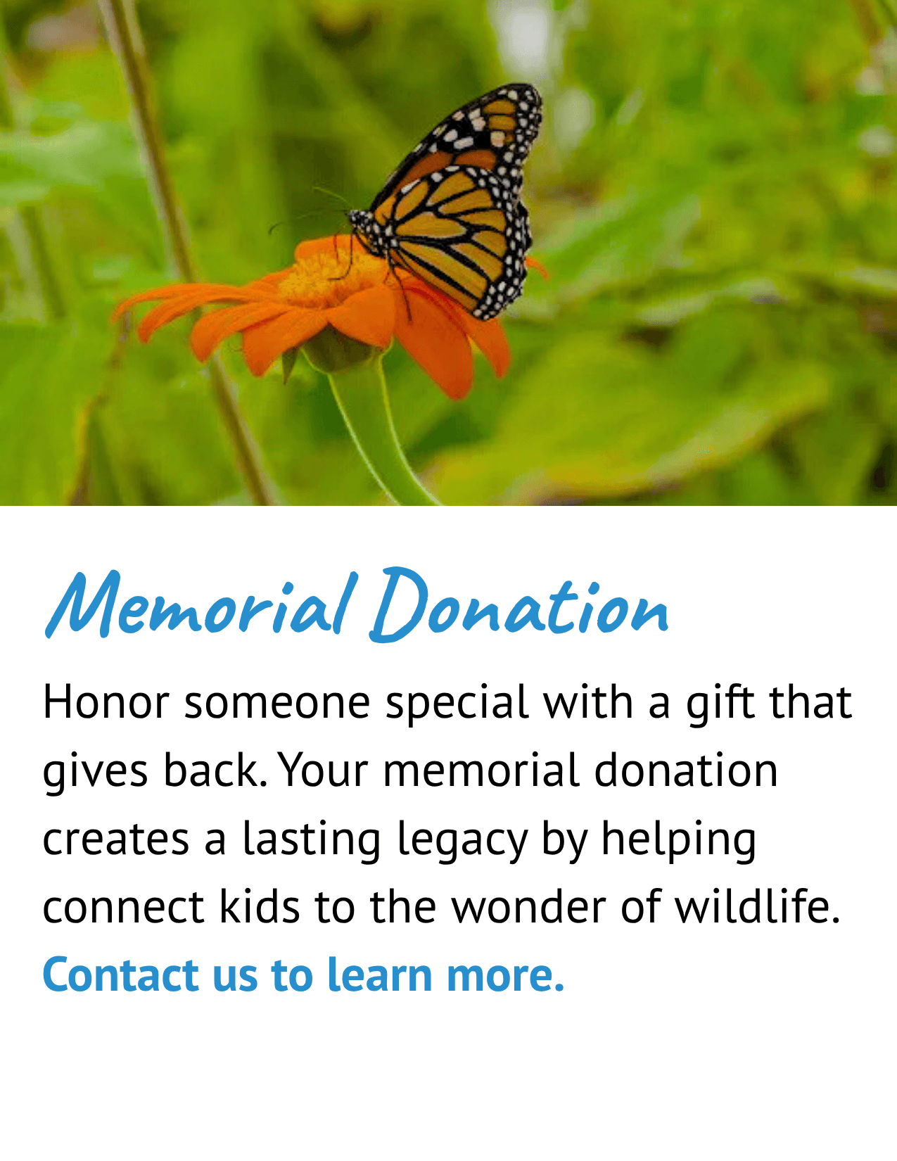 Memorial Fund