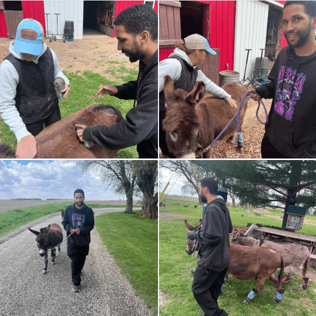 Hope Lives Rescue Ranch