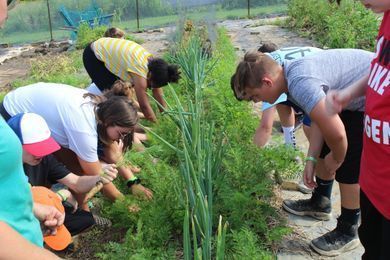 Edible Landscaping