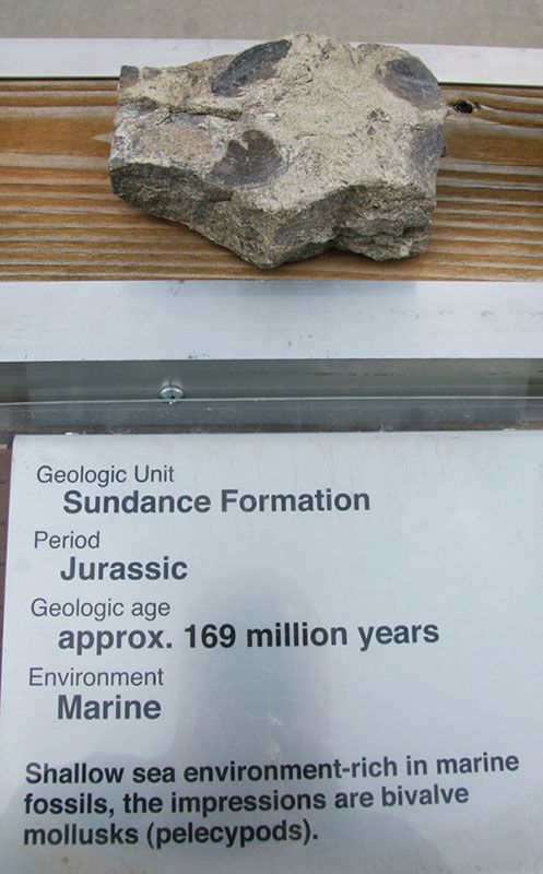 Sundance Formation - Jurassic