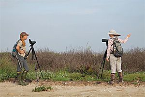 Stephanie Bilodeau and Kristen Vale monitor beach-nesting birds