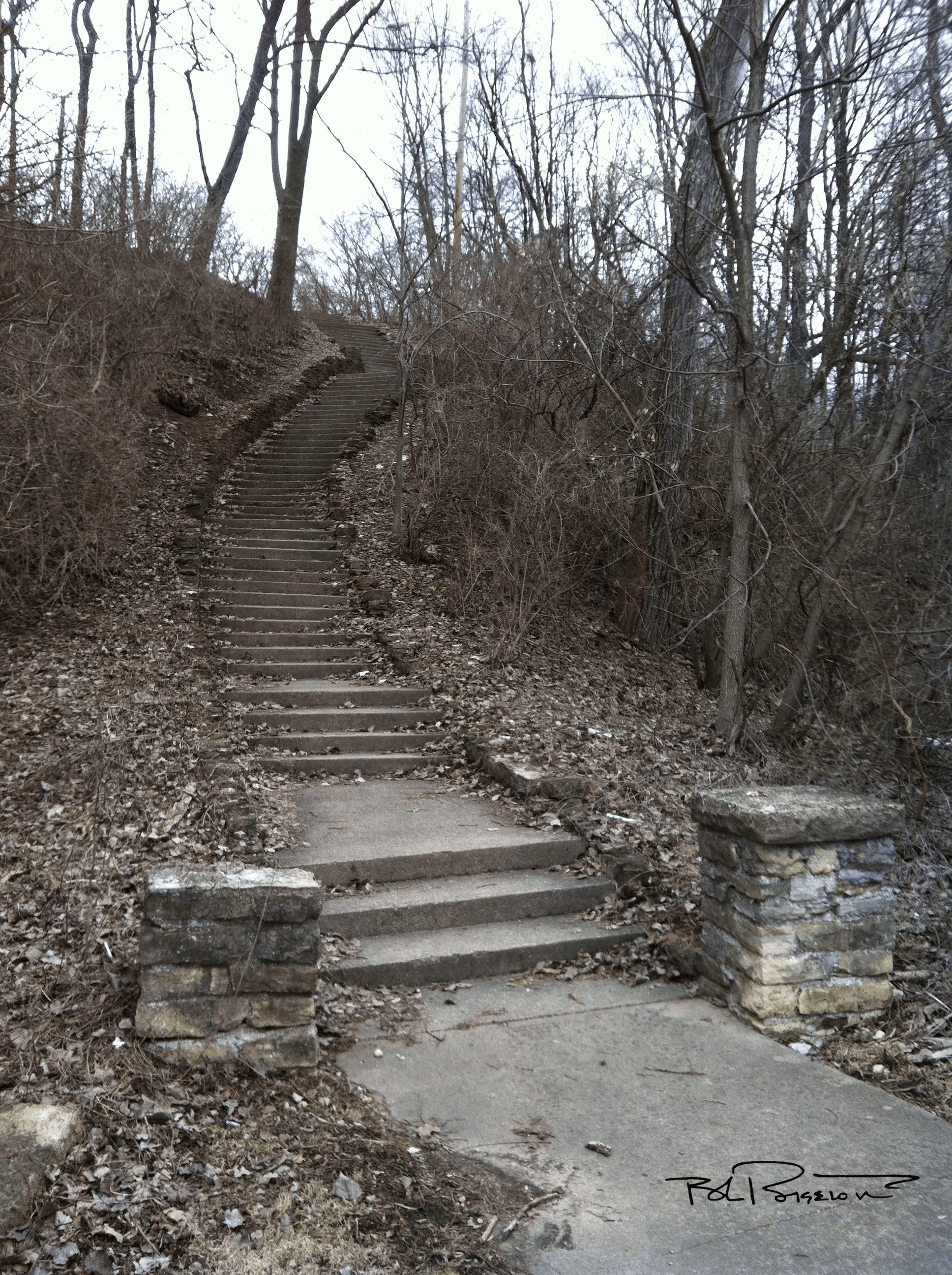 Quarry Steps