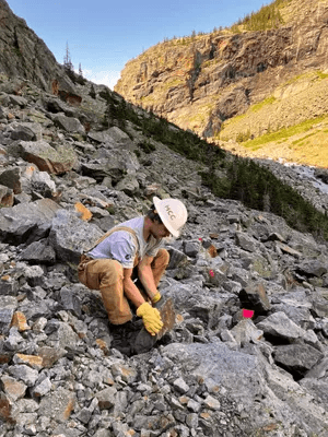 Restoring the Beaten Path