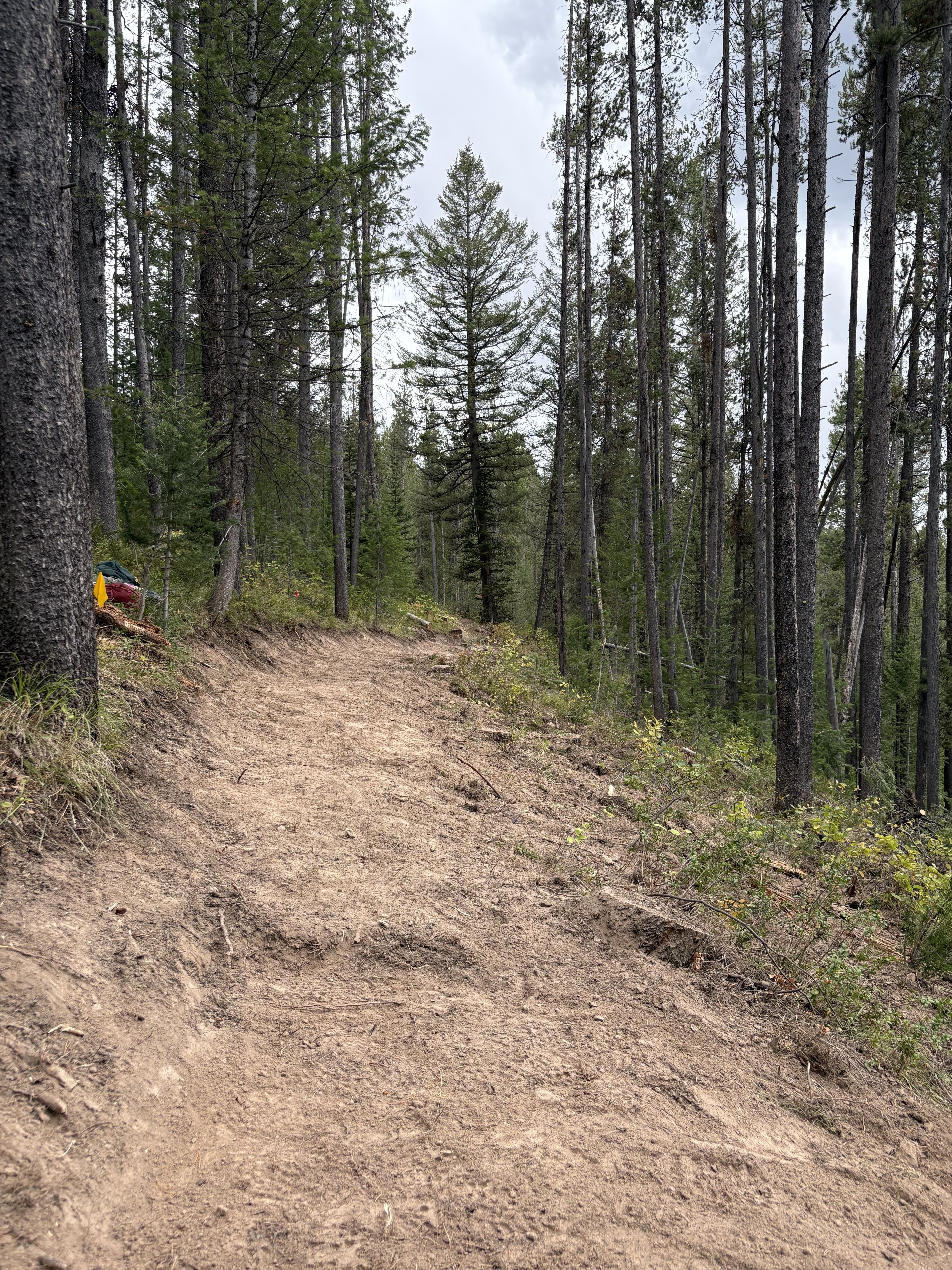 Connecting Trail W/ Wyoming Pathways