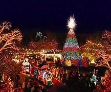 Judy's Leisure Tours