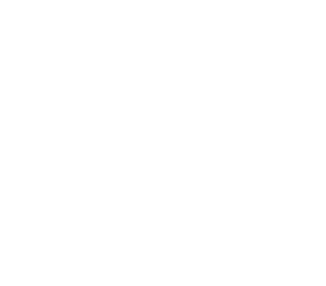 logo Mount Carmel Cemetery Association