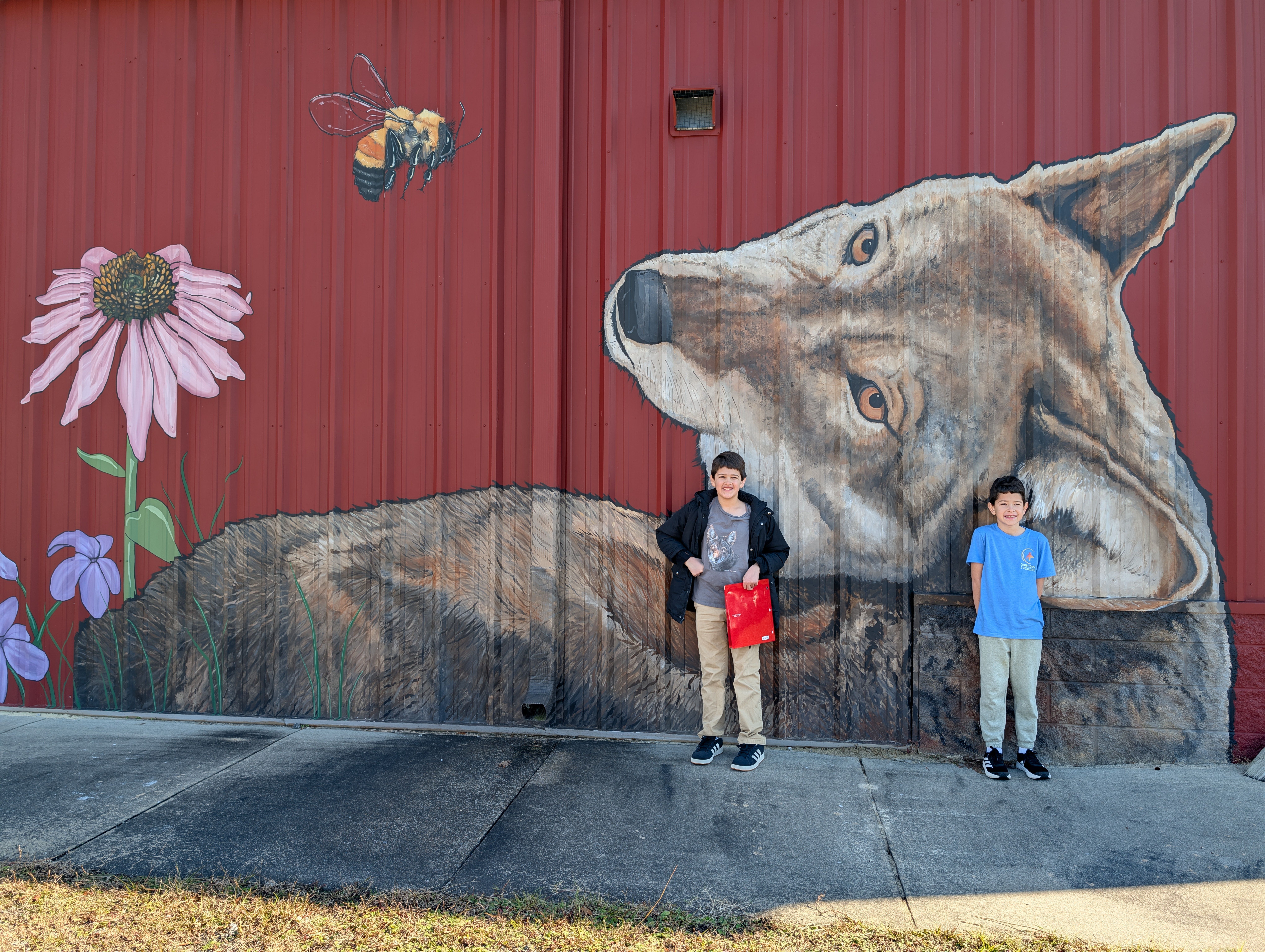 Exploring the Wild in Wildlife: Learning about Red Wolves