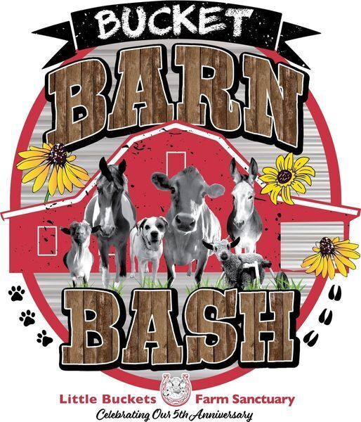 Hitting the 5 Year Mark