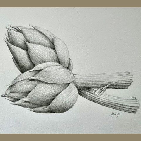 Graphite Drawing