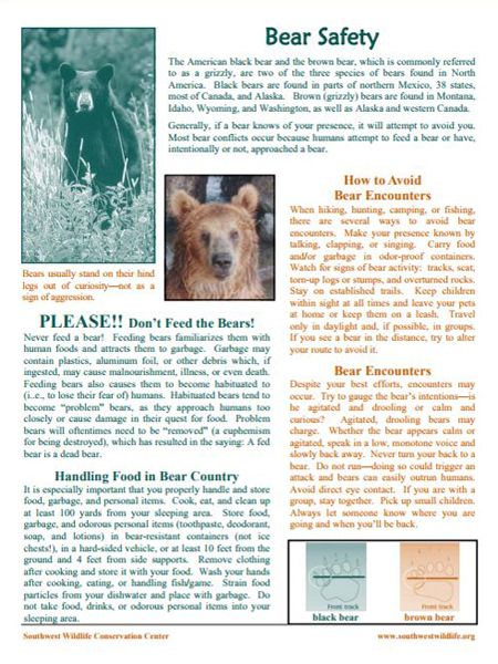 Bear Safety Sheet