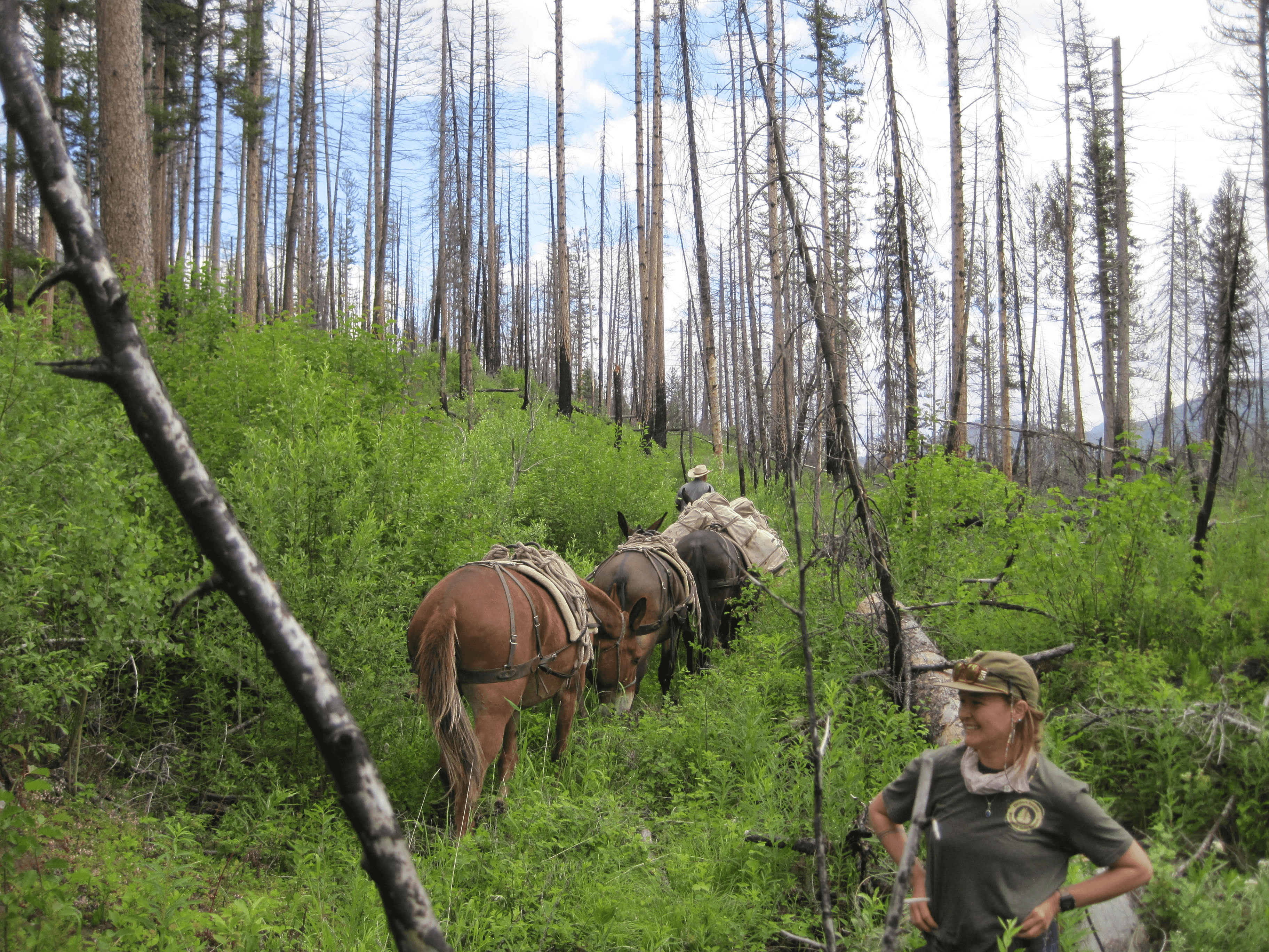 Shannon O'Healaigh - Field Coordinator