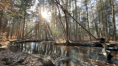 Queen's River runs through Audubon Fisherville Brook Wildlife Refuge