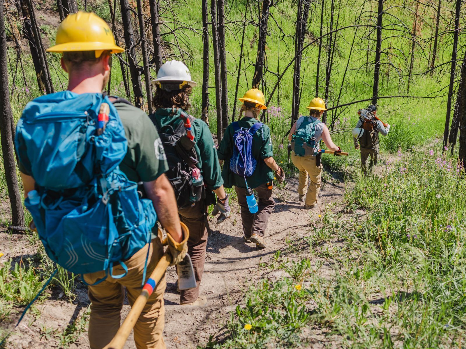 Home Montana Conservation Corps