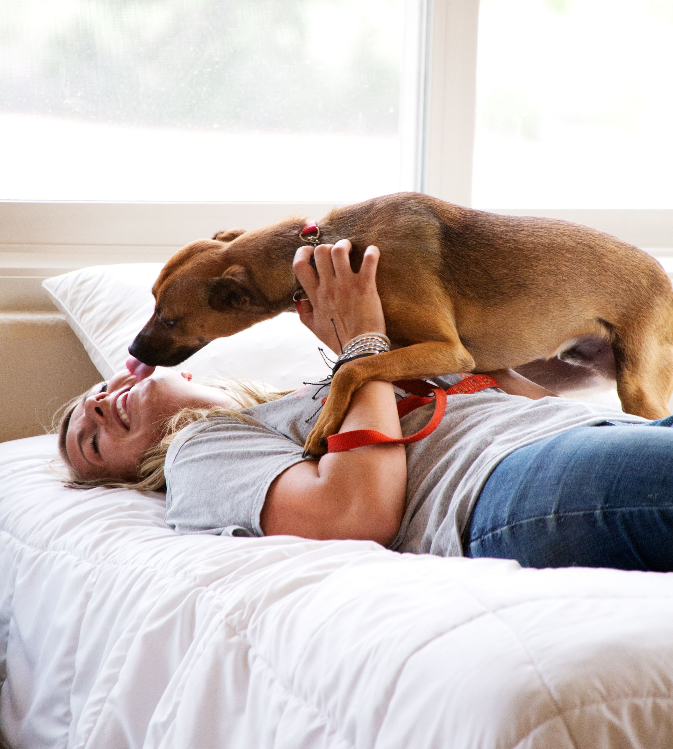 International Hearing Dog, Inc. IHDI Program Overview