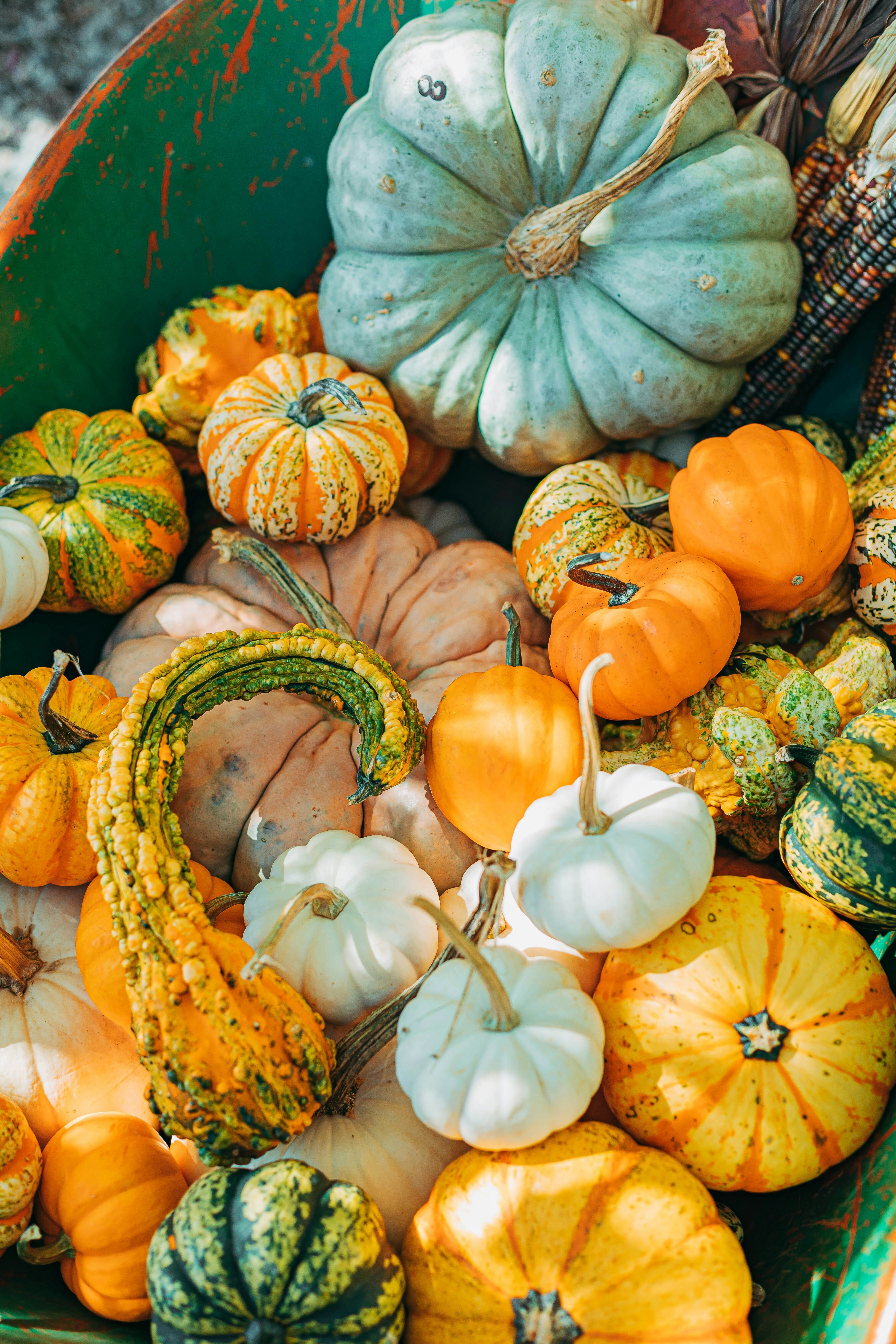 September Newsletter