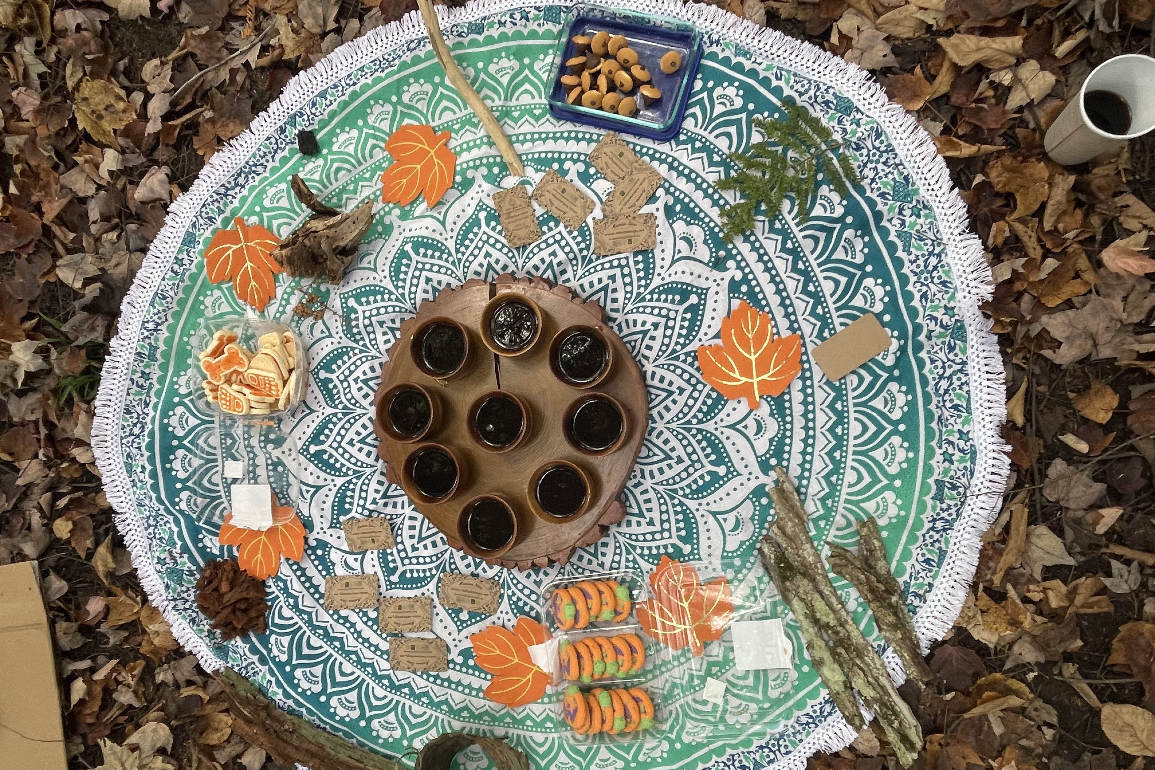 May 2: Forest Bathing with Mo Stine