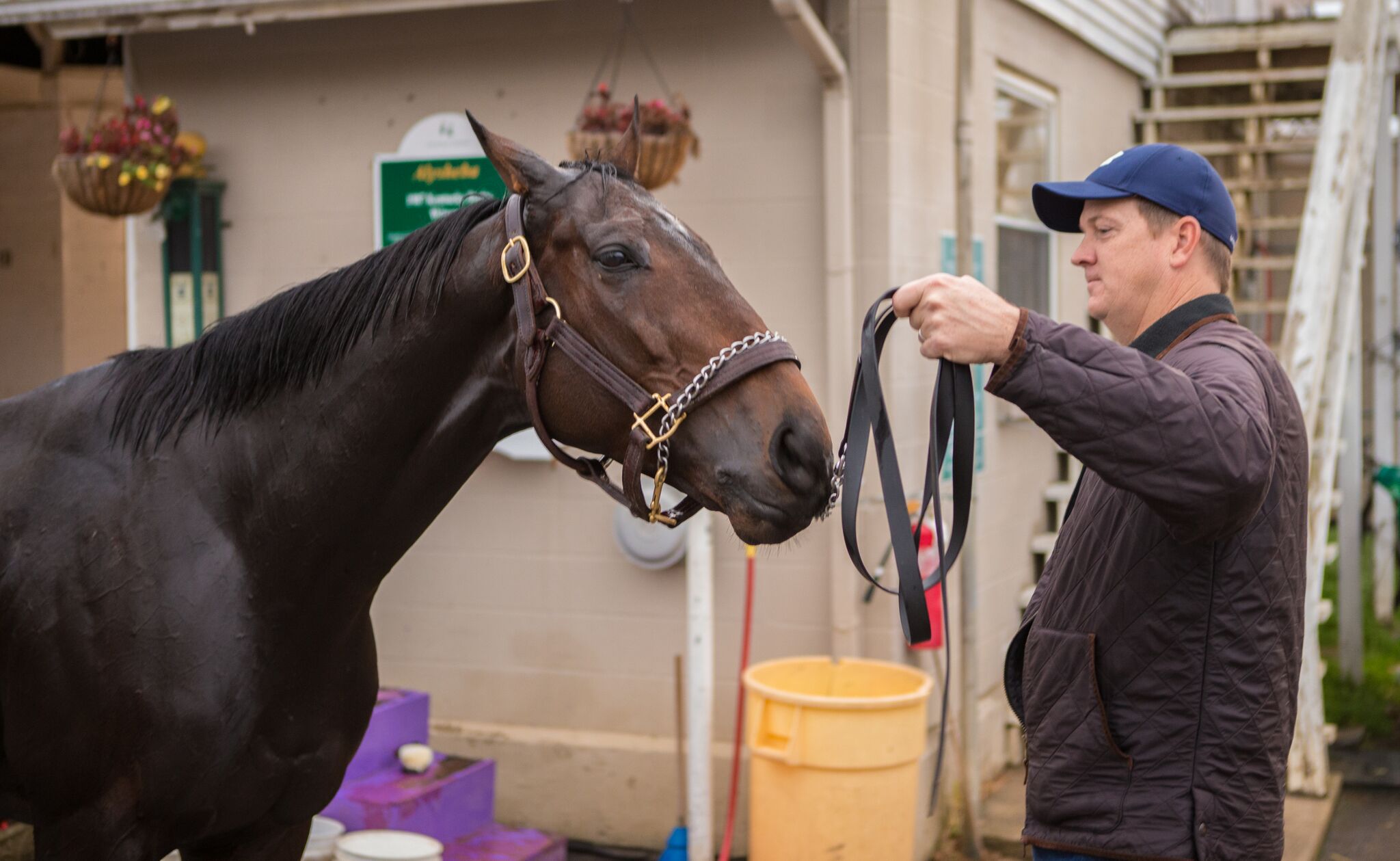 "Born to Rein" film screening and Q&A with filmmaker
