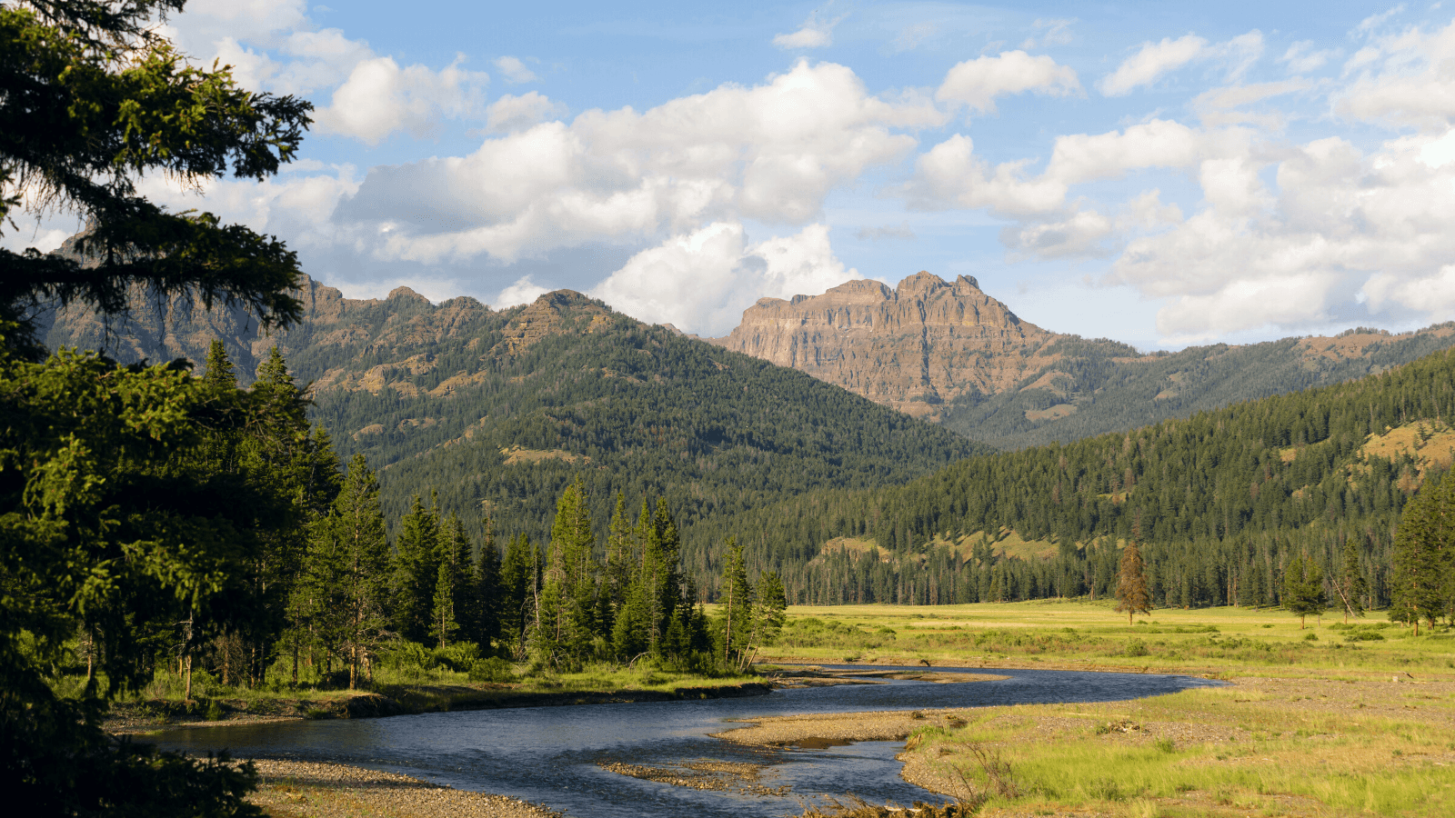 Photo of a river valley in Yellowstone National Park