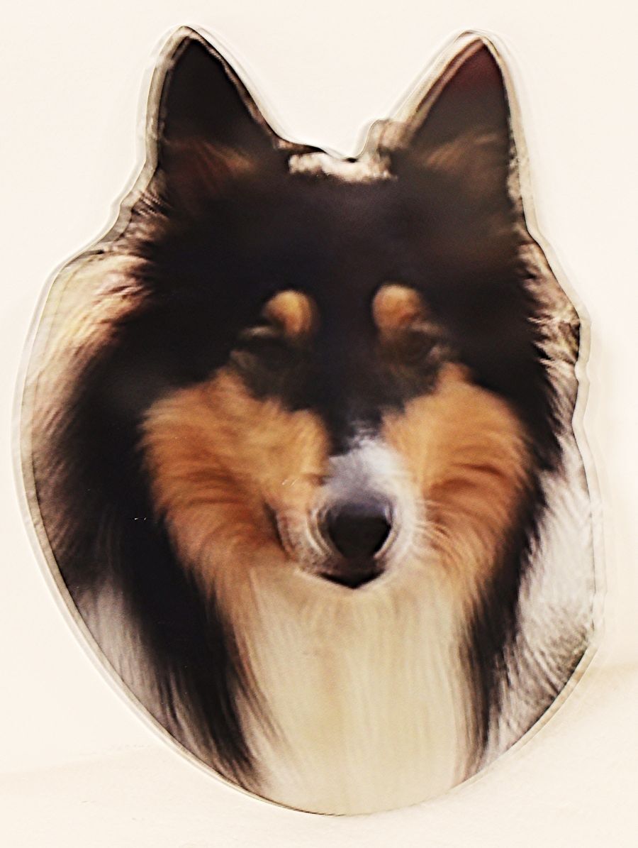 UP-3187 - Carved 2.5-D Multi-level Artist-painted Plaque of the Emblem of an Dog Fancier Club