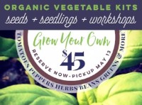 Veggie Kits for Every Gardener