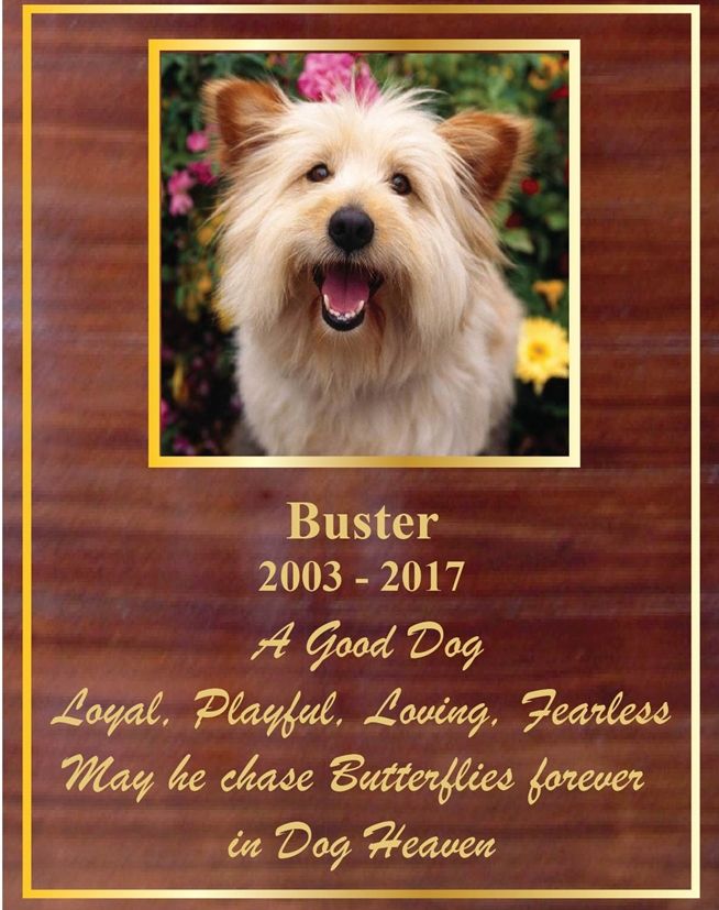 ZP-4030 - Memorial Plaque for Buster, A Good Dog,  Mahogany Plaque with Giclee Photo