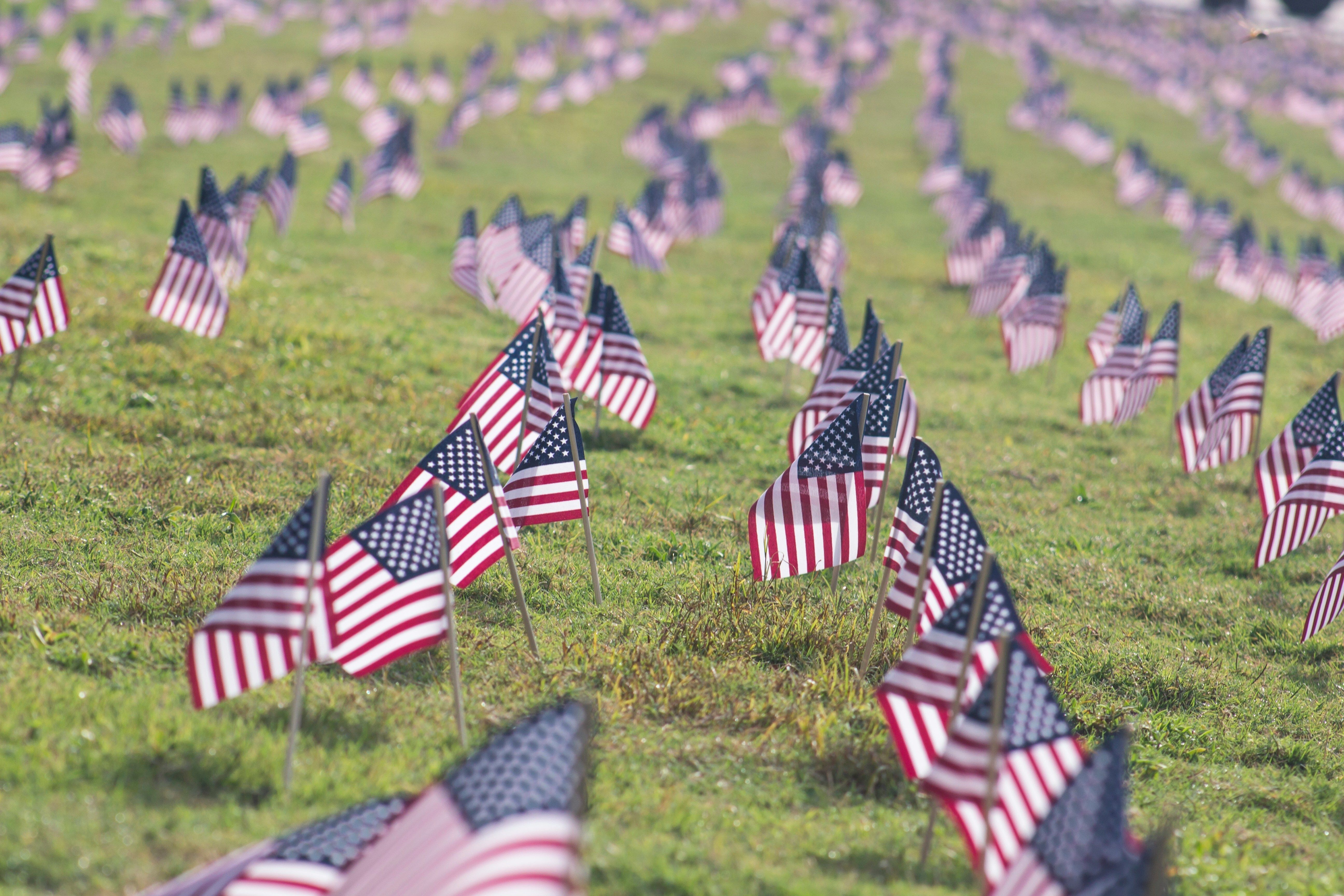 A young boy saluting while surrounded by American flags.