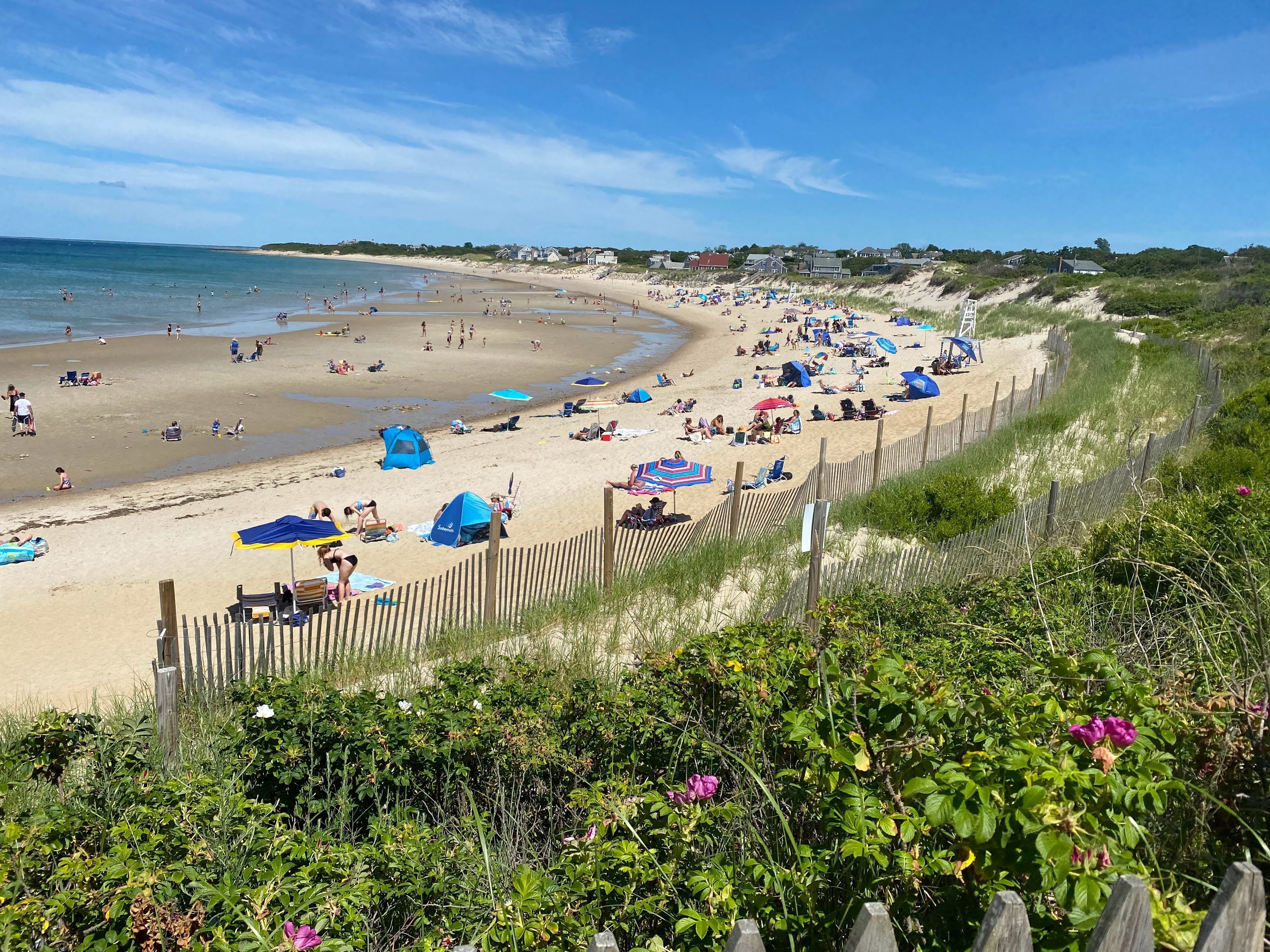 Join a Beach Cleanup During COASTSWEEP 2024