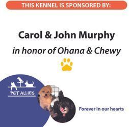 John & Carol Murphy