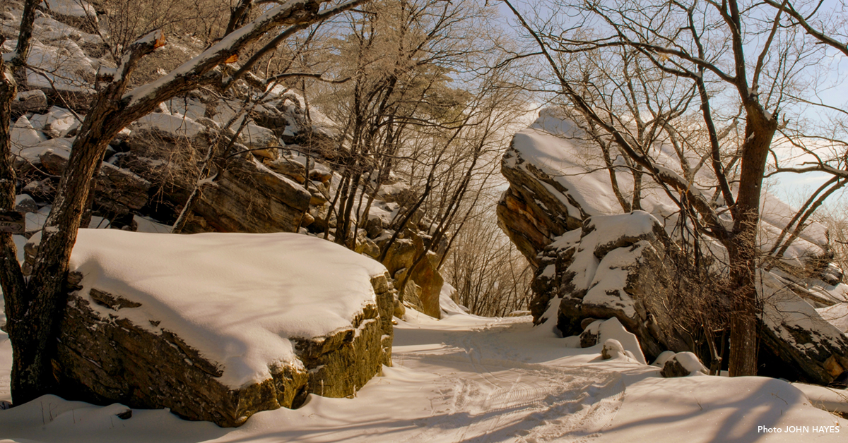 Opening Reception: Focus and Light: Images from Mohonk Preserve Volunteer Photographers