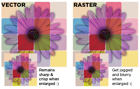 Raster Images vs. Vector Graphics