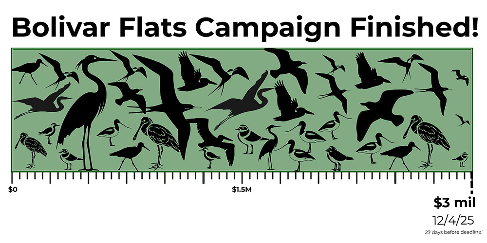 Save Bolivar Thermometer
