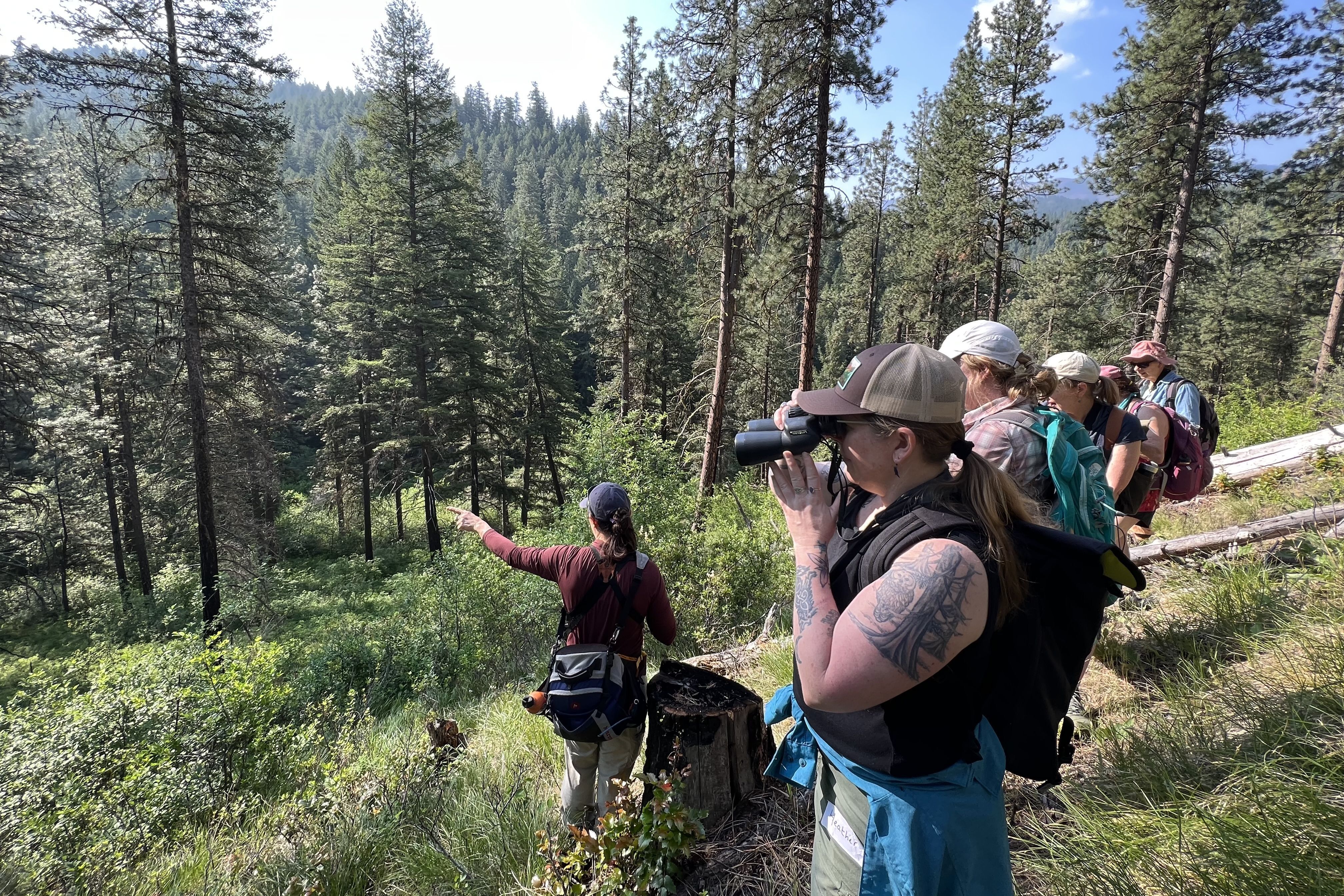 A photo of a group in a wooded area with binoculars in search of birds during Bird Fest.