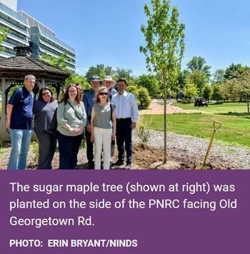 New NIH Tree Honors Career of NINDS’s Fischbeck