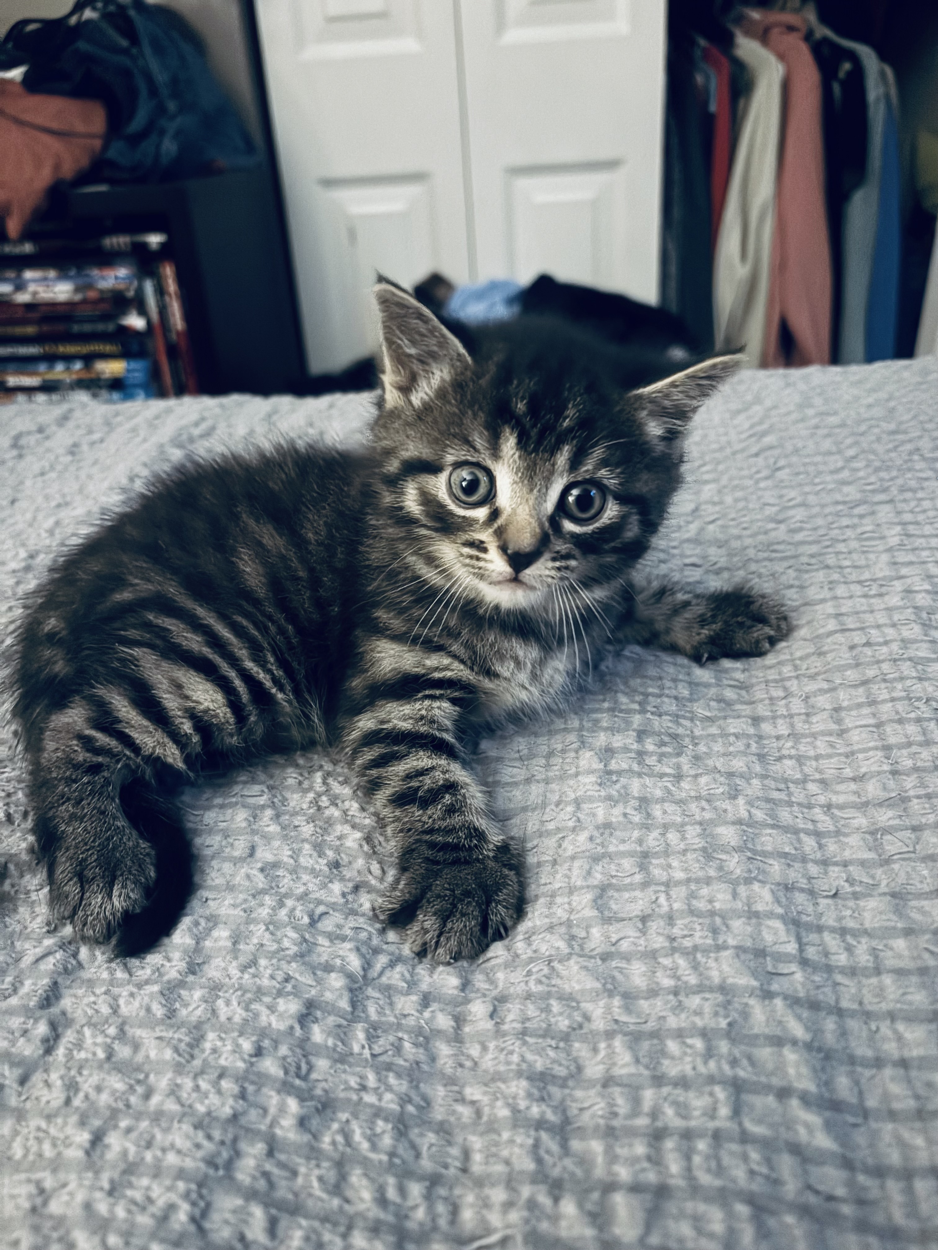 Finley