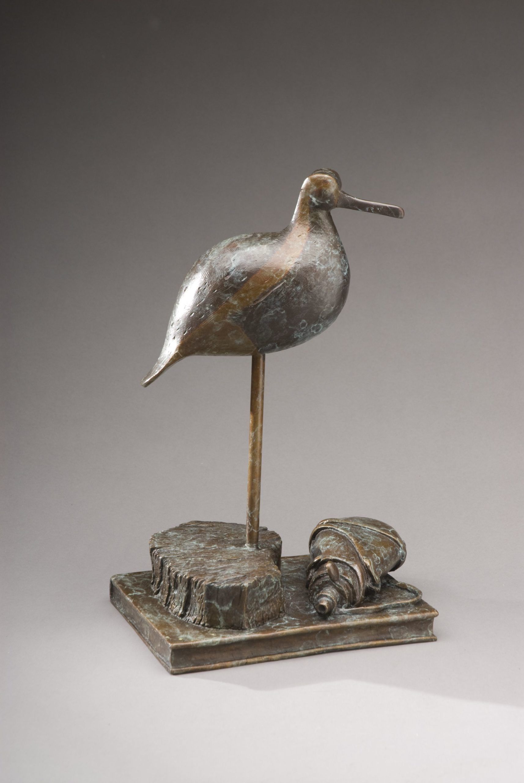 William Mathews Black-bellied Plover