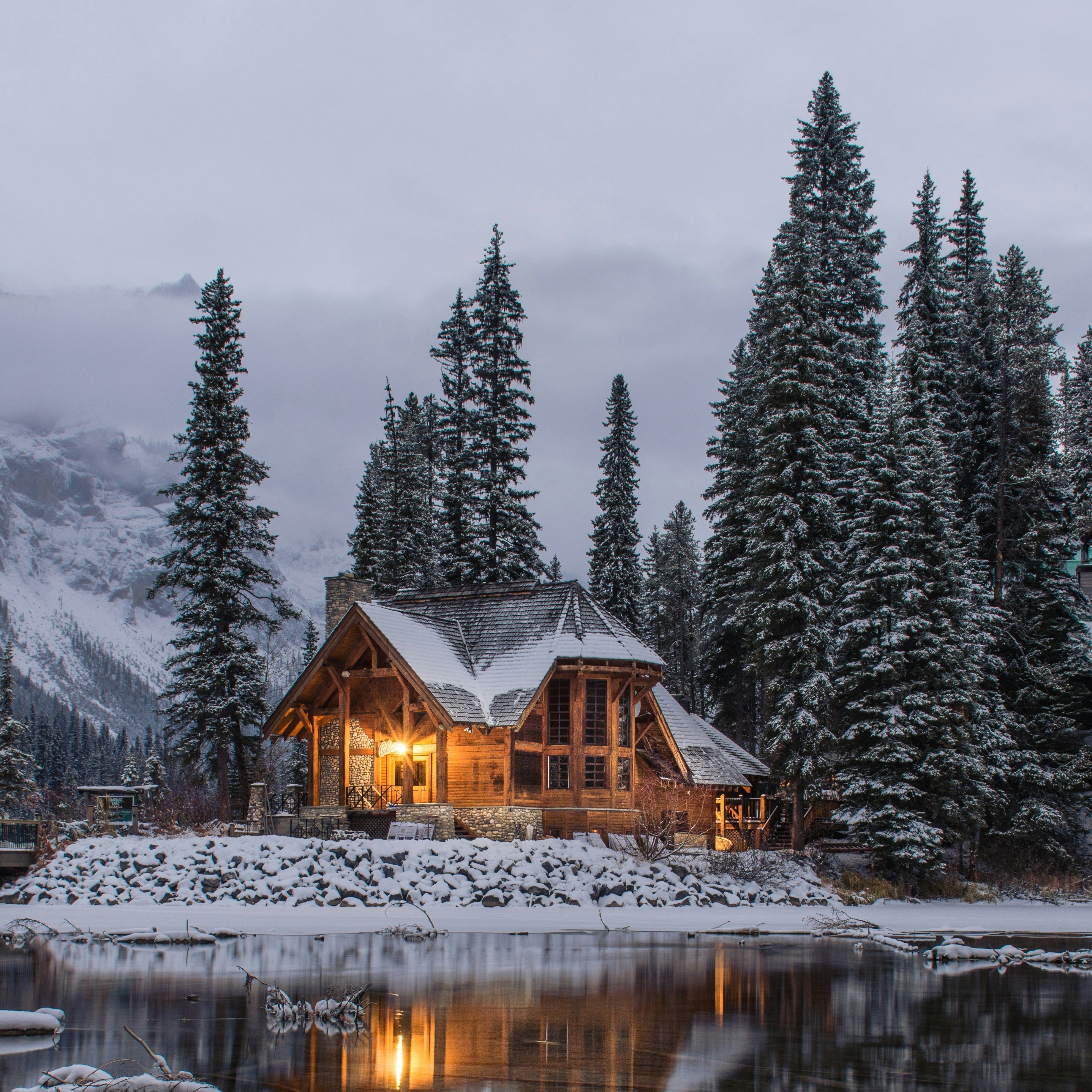 KDA 2025 Winter Newsletter