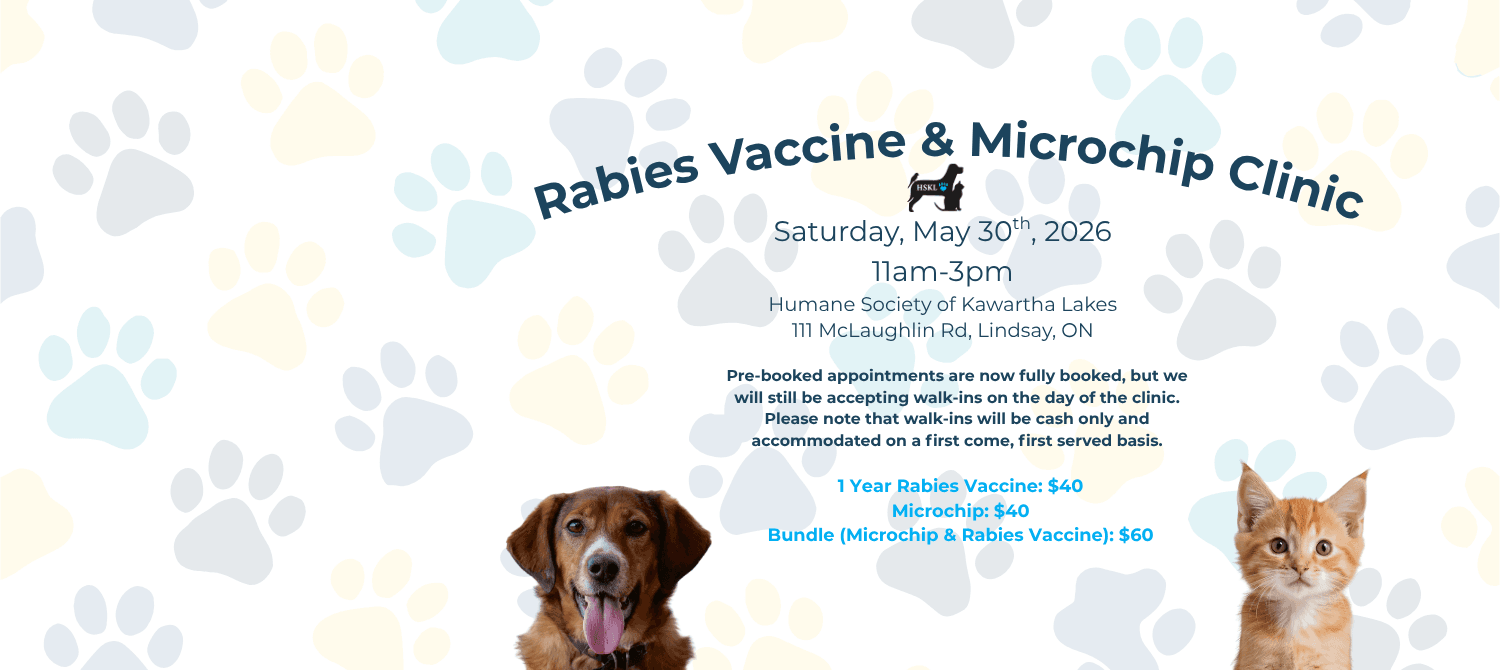 Rabies Clinic