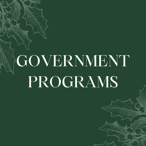 Government Programs