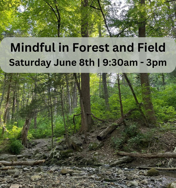 Mindful in Forest and Field