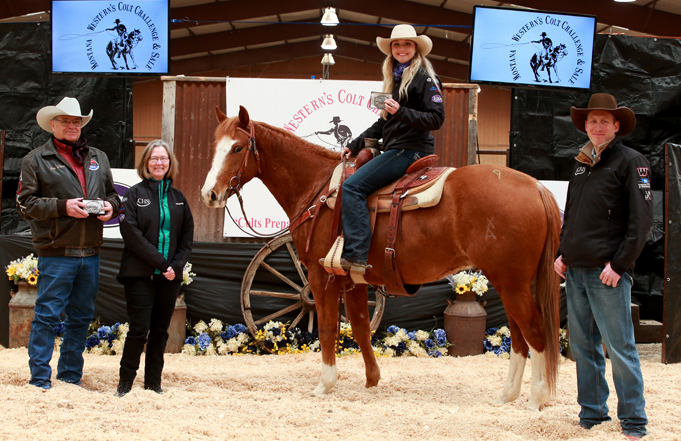 Annual Colt Sale Raises Over $96,000 for Natural Horsemanship Program