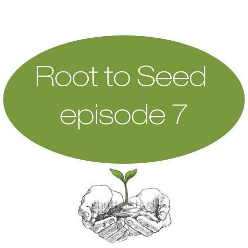 Episode 7: Health and Food Insecurity in Southeast Ohio