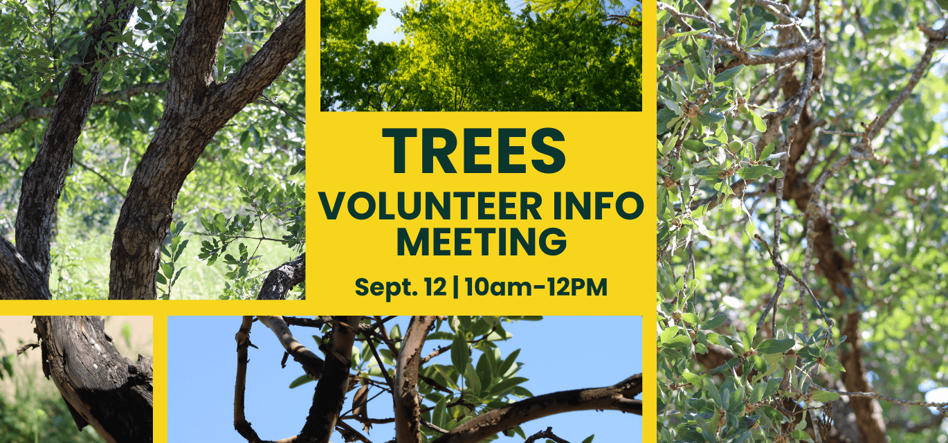 TREES volunteer info meeting, discover how to become a volunteer, 5-year project from the San Antonio botanical garden